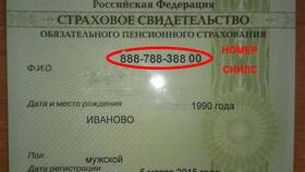 Что дает номер страхового свидетельства в Максавит
