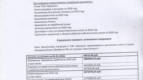 Что такое ревизионная комиссия в Максавит