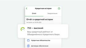 Что значит потребительский кредит с обязательствами в Максавит