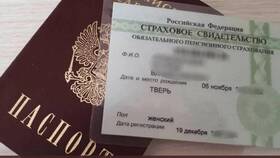 Как найти человека по номеру СНИЛС в Максавит