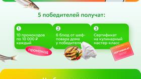 Как обратиться в службу поддержки Купер в Максавит