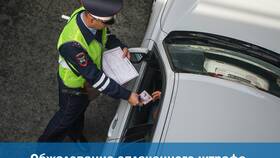Как обжаловать штраф ГИБДД: пошаговая инструкция