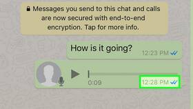 Как отправить видео в WhatsApp в Максавит