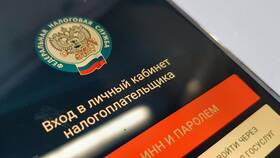Как узнать налоги по ИНН бесплатно в Максавит