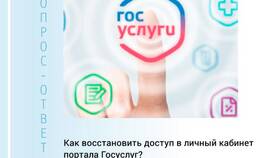 Как войти на Госуслуги, если забыли пароль в Максавит