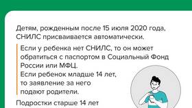 Почему СНИЛС может быть неверным в Максавит