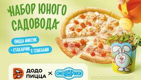 Способы покупки пиццы в Dodo Pizza в Максавит