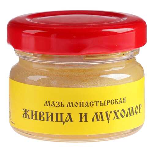 Мазь Монастырская Бизорюк Фабрика здоровья Живица с мухомором 25 мл в Максавит